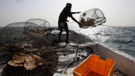 Our Sea, Our Heritage new film from the EAD about the alarming state of the UAE fisheries